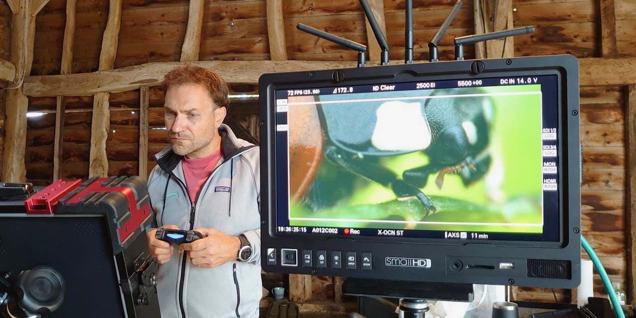 Getting the macro shot for Disney + A Real Bugs Life - eMotimo